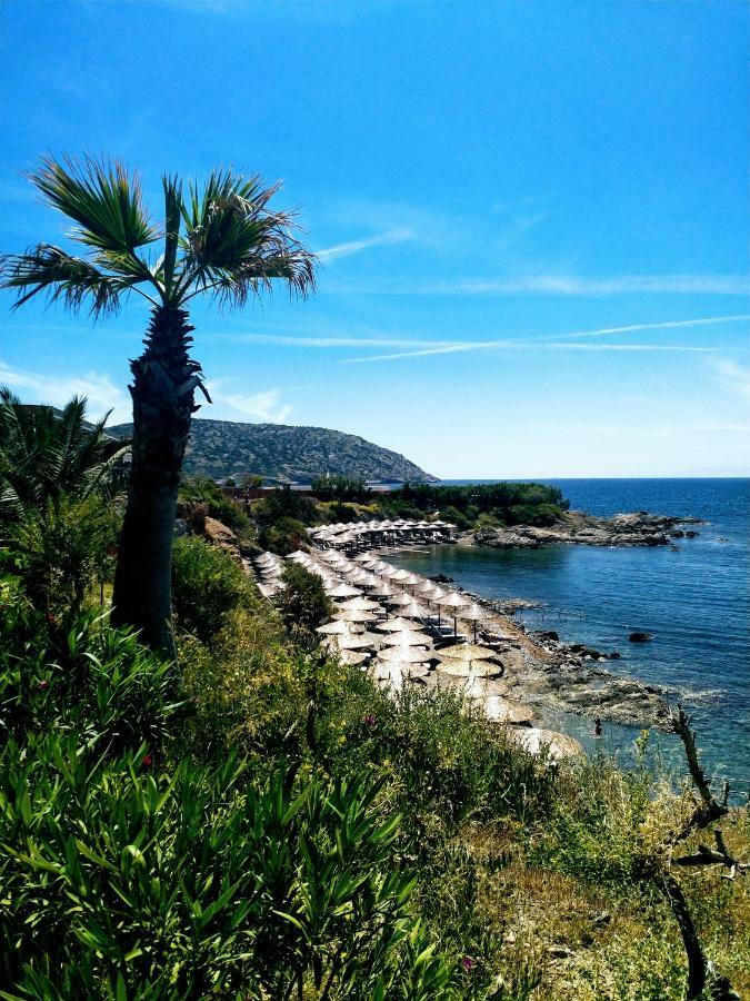 New Seafront Studio Pensionat Anavyssos Eksteriør billede